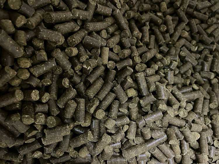 Hemp Pellets